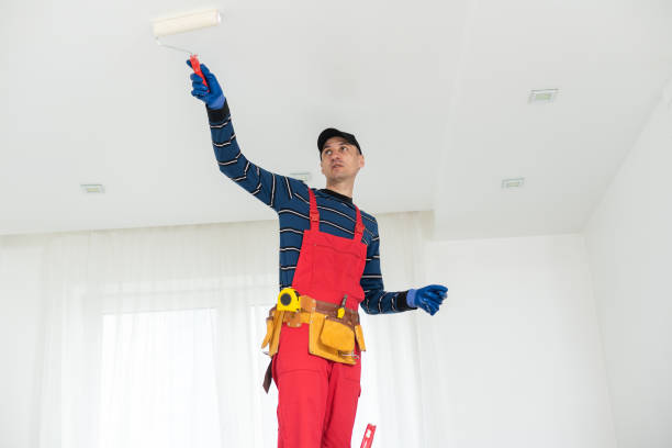 Best Ceiling Drywall Installation  in Converse, IN